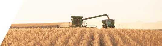 A front-on picture of a combine and grain cart harvesting