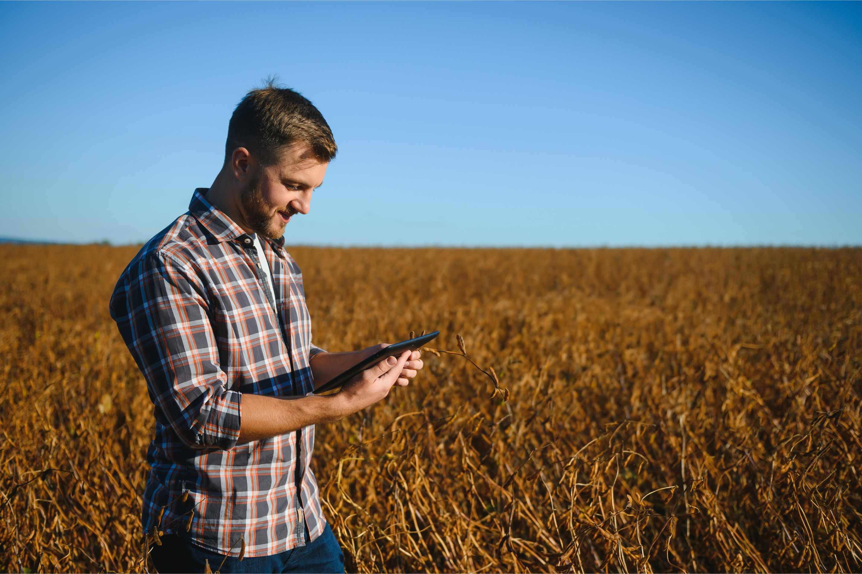 A picture of a man in a field holding a tablet