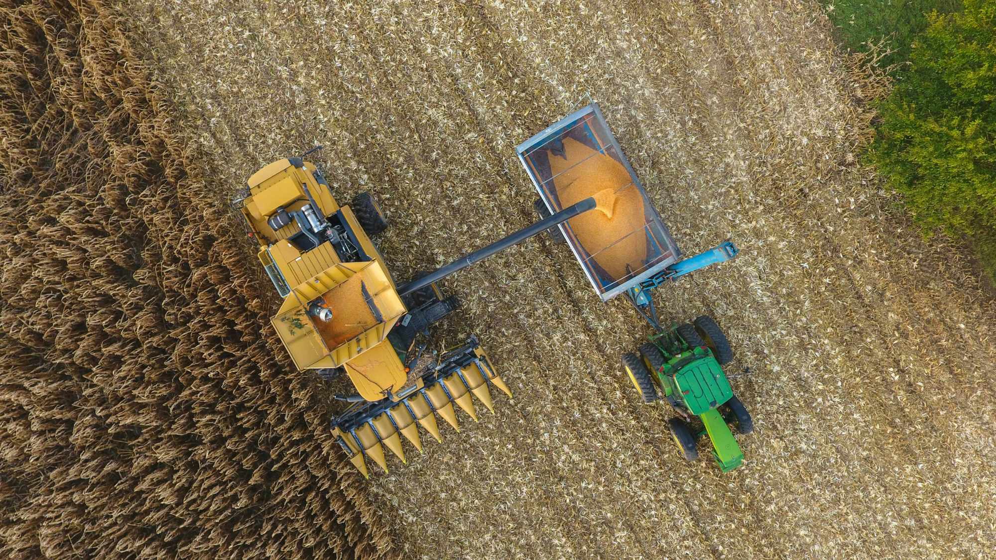 A top-down view of a grain cart and combine harvesting