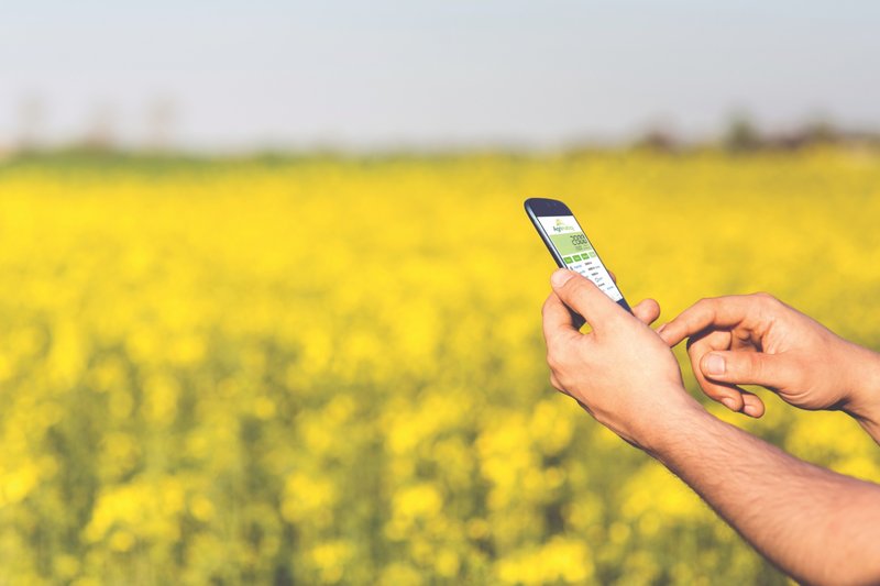 Farmer in a field holding a smartphone with the Agrimatics Mobile being used on the smartphone.